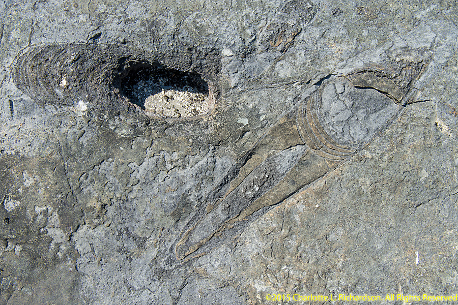 Vermont Photo Gallery